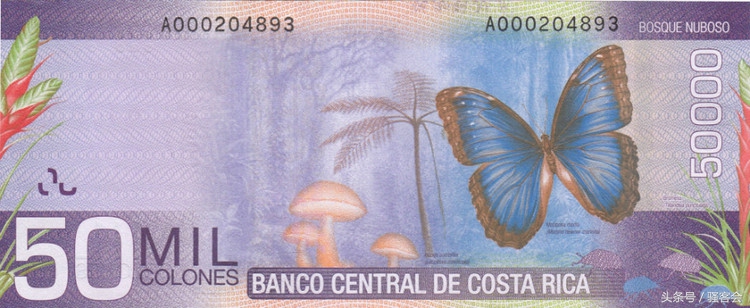 18年世界杯钞票,世界杯货币大全