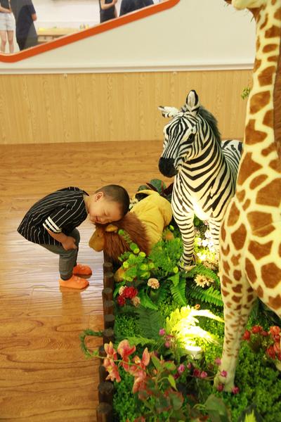 慧文迪儿幼儿园滨江,南京江宁滨江慧文迪儿幼儿园学费