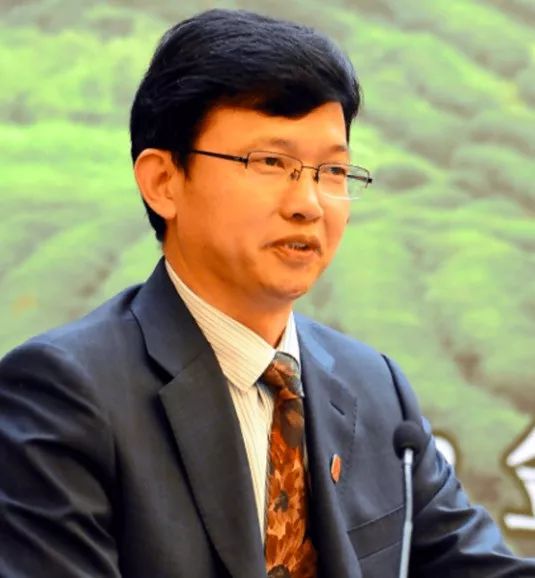 「老卜奎说茶」绿茶伤胃？听听茶学教授怎么说