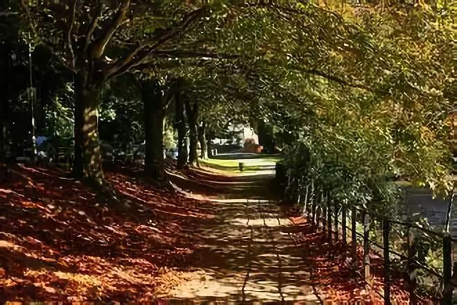 走进悉尼大学,走进威尔士