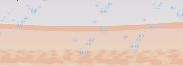 熊猫不是猫原文,熊猫不是猫原版