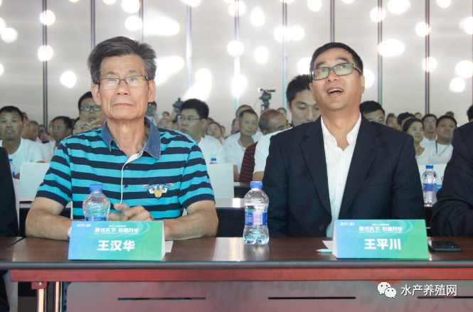 澳华总裁,澳华集团董事长许愿斌