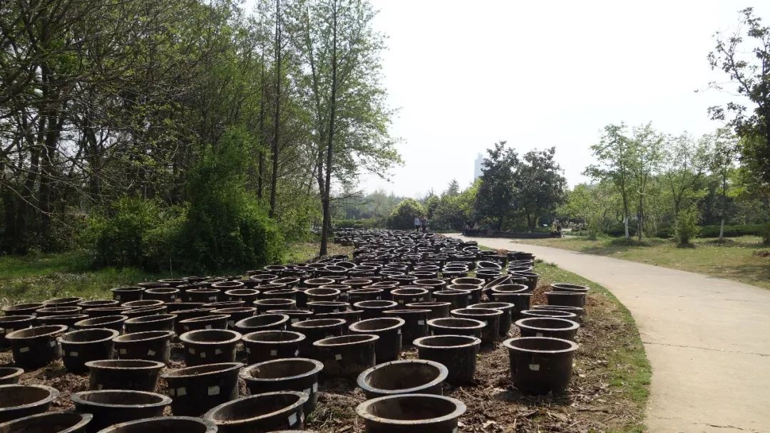 时光游合肥,时光旅行图集