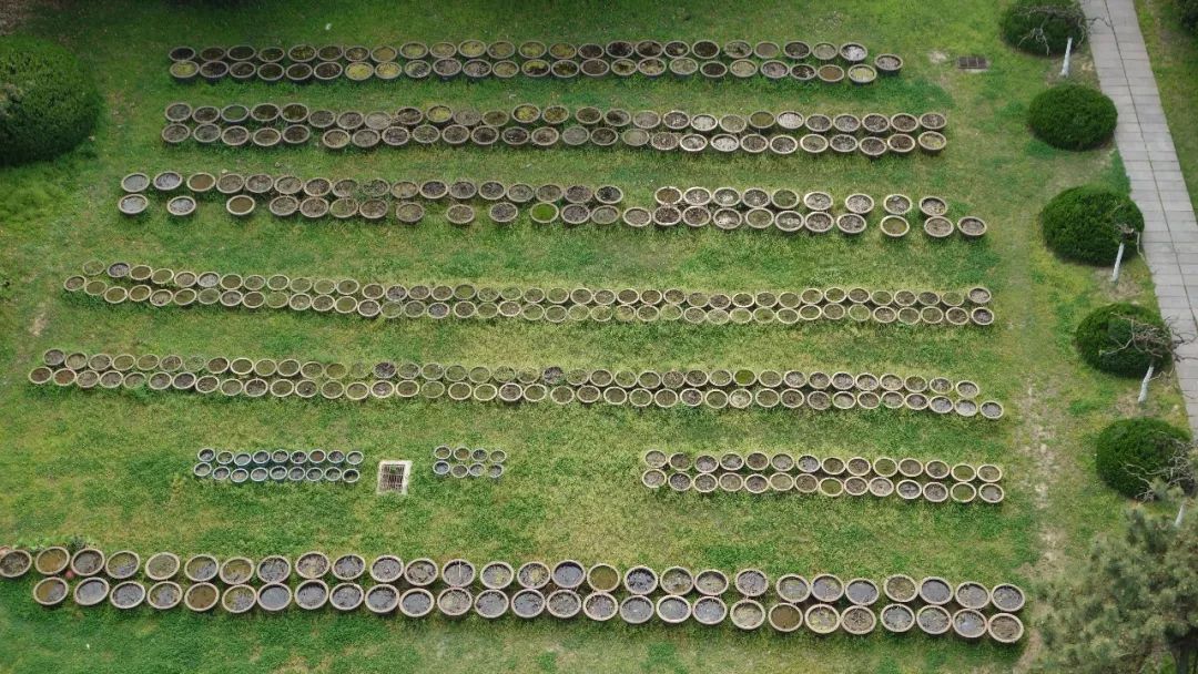 时光游合肥,时光旅行图集