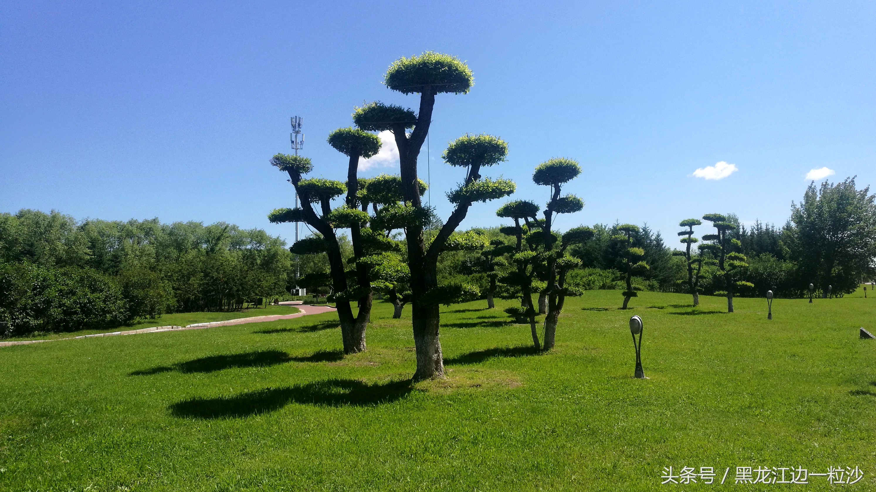 黑河冬天去哪里旅游比较好,东北黑河旅游攻略