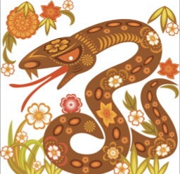 十二生肖男虎女龙配婚姻好吗,十二生肖之鸡配什么属相最好