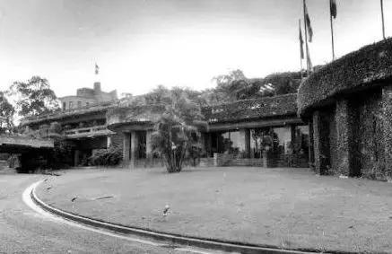 澳洲未解之谜，它又出现了！幽灵猫现，必有血案！