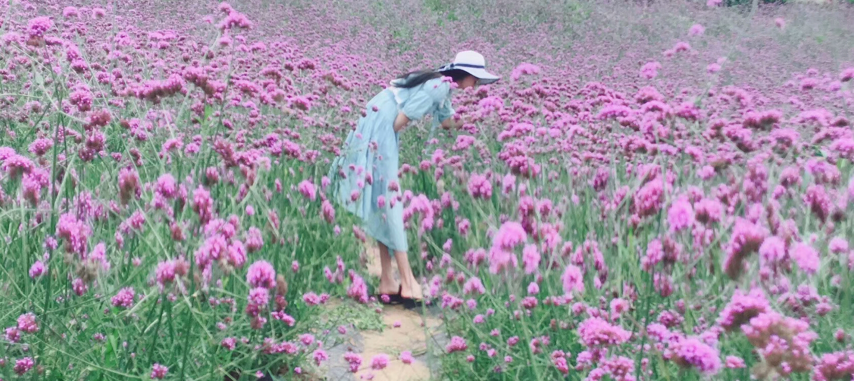 形婚有什么意义,形婚是什么意思