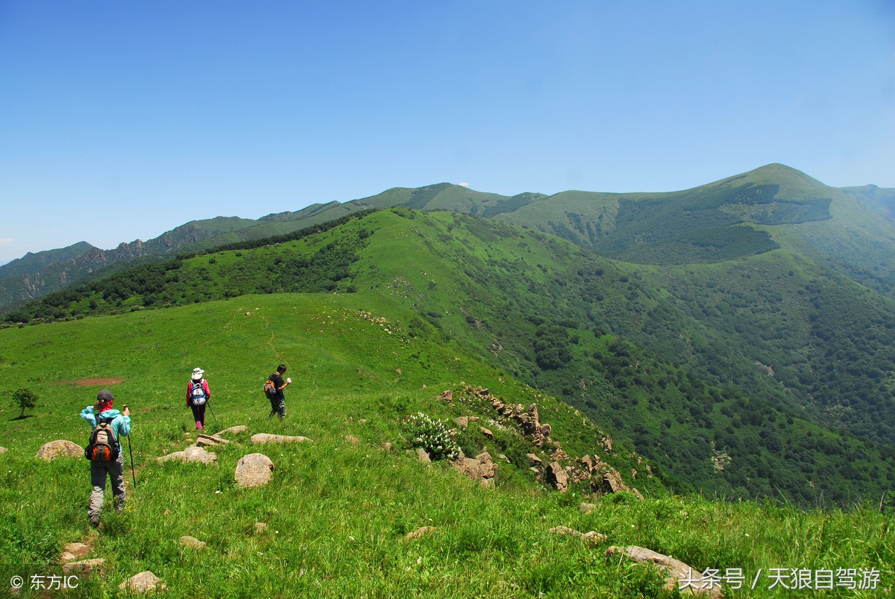 蛇虫叮咬怎么去除,避免蛇虫咬伤的安全措施