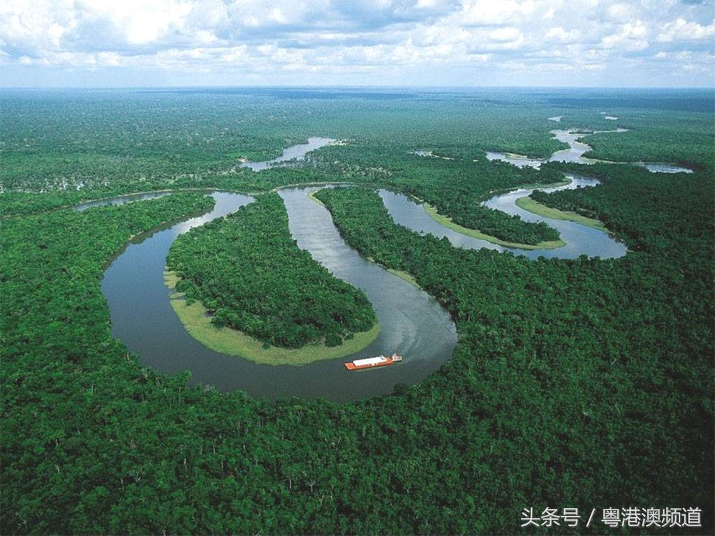 巴西最后一球,巴西最后一球进韩国