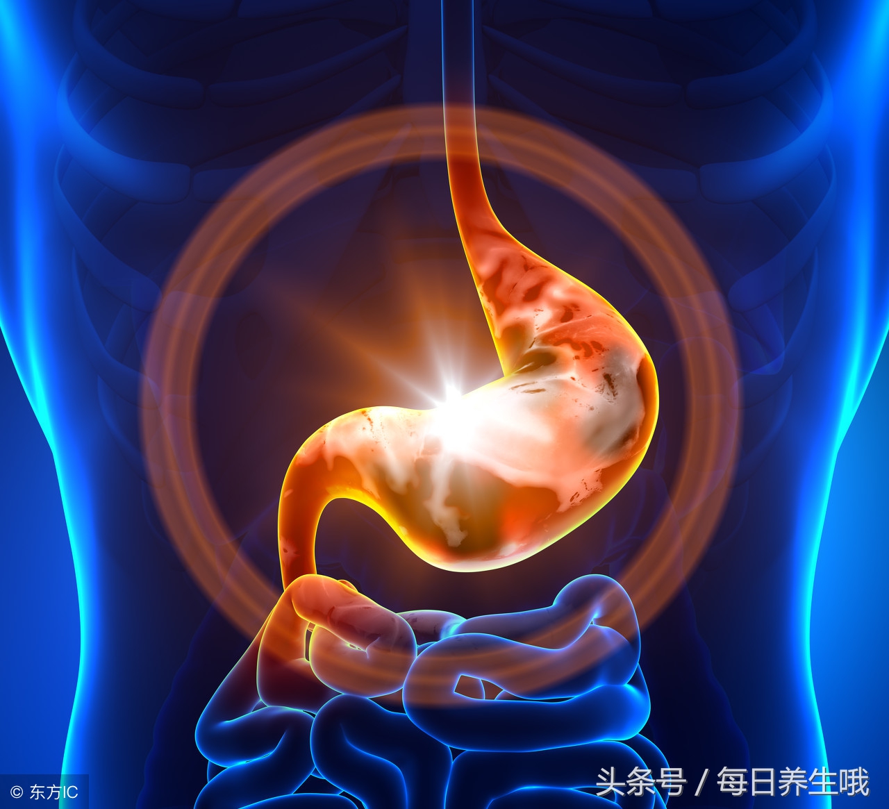 桑葚治幽门螺杆菌冲水喝吗,养胃杀幽门杆菌的中药泡水