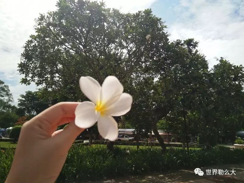 柬埔寨暹粒吴哥窟游记,柬埔寨旅行记2018