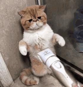 出国帮同事代购香水却遭拒收，网友吵翻了