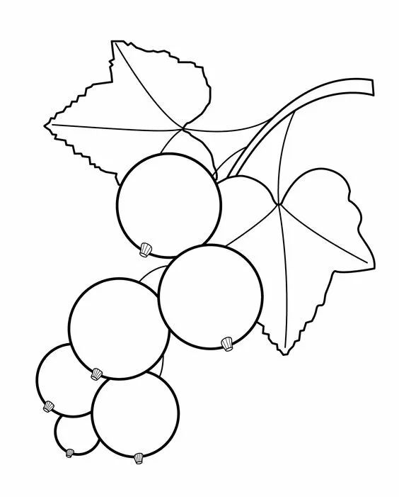 儿童简笔画蔬菜和水果,多吃水果蔬菜简笔画