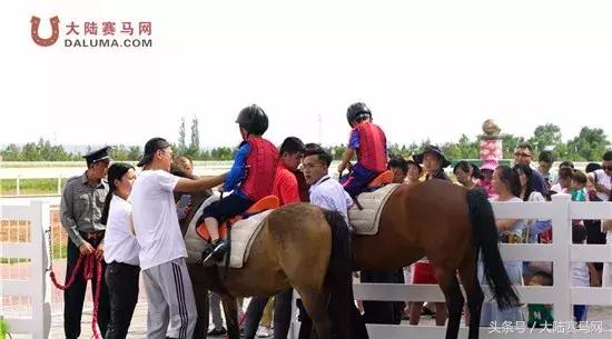 马术比赛纯血马,2018蒙古赛马传统耐力赛视频
