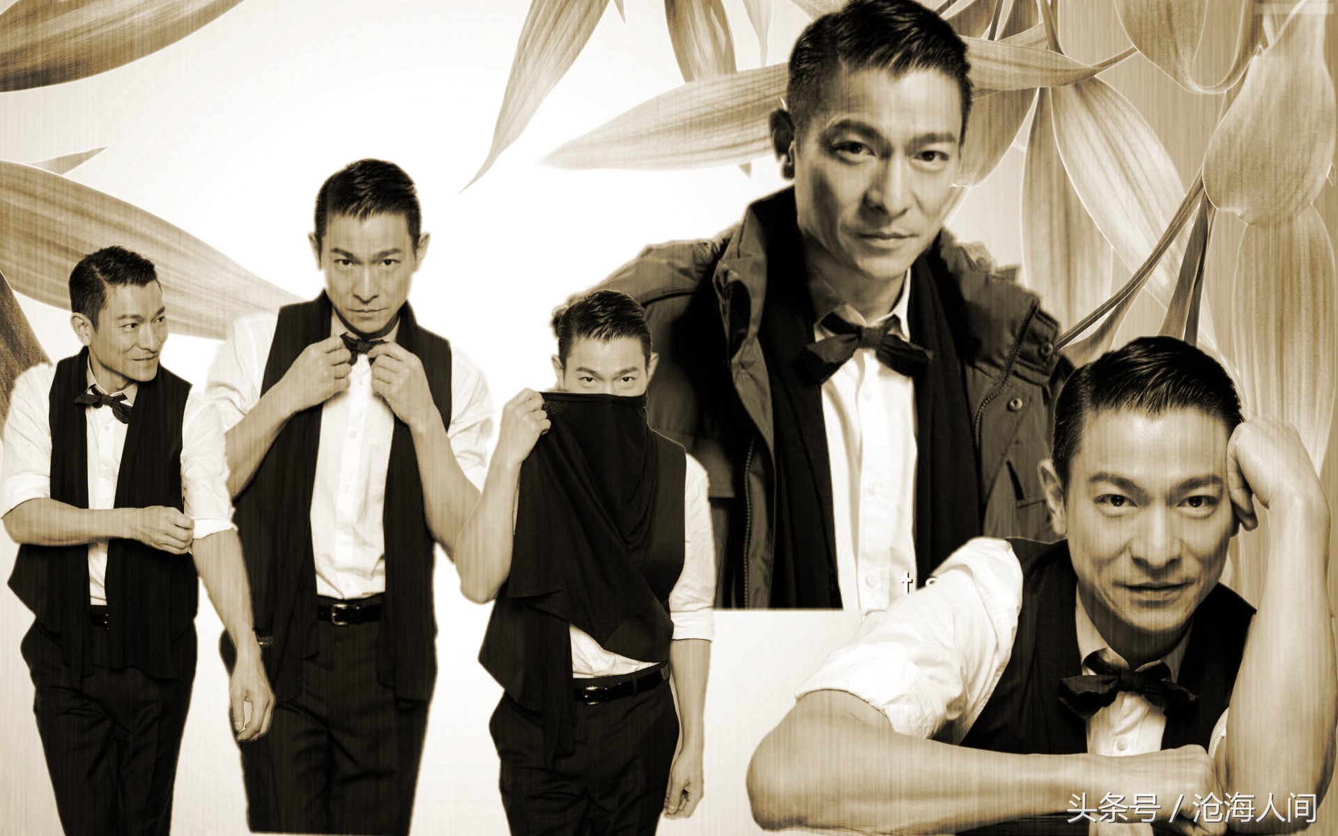 听华仔的歌粤语怎么说,听华仔的歌曲文案