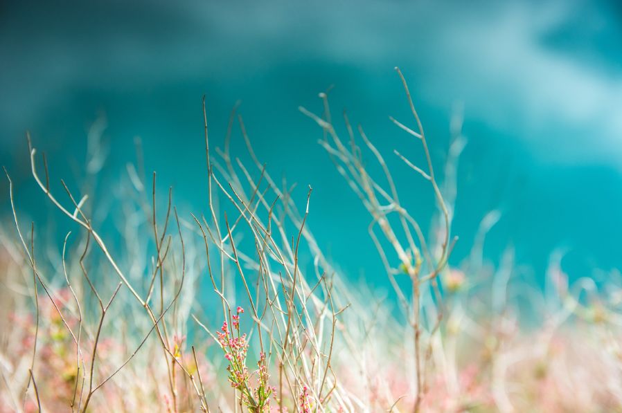 驻足眼前美景,泸沽湖的静谧之美