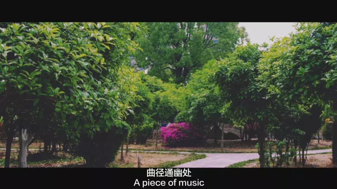 柯桥所有高中一览,柯桥中学纪念册