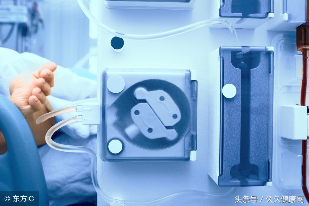 萌嘟嘟的多肉,萌嘟嘟多肉