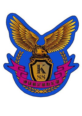 天津有几个足球俱乐部,天津还有足球俱乐部吗