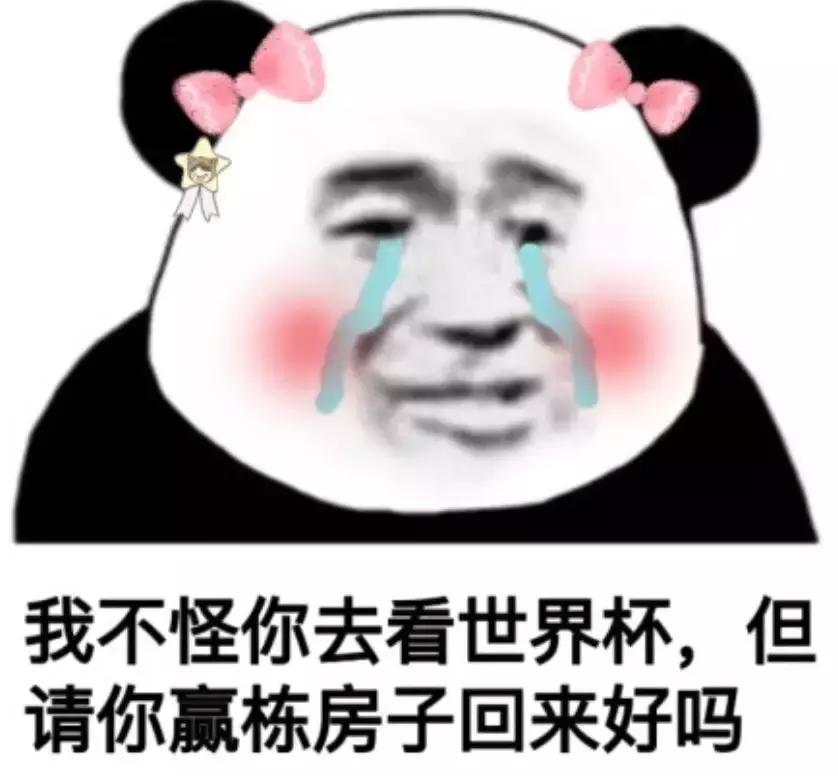 高晓松晓说阿根廷,高晓松冒死揭秘世界杯