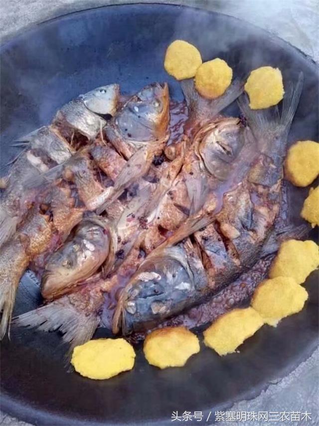 梨木台风景区顺缘农家院,天津蓟县梨木台顺鑫缘农家院