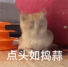 广东高考分数线公布一本文科455分,2018年广东省理科高考分数线