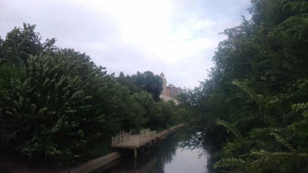 住在东八里庄，曾经很骄傲！现在更骄傲，因为……