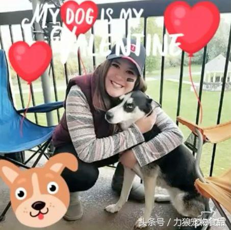 遛狗不牵绳那就别遛狗,铲屎官遛狗牵绳