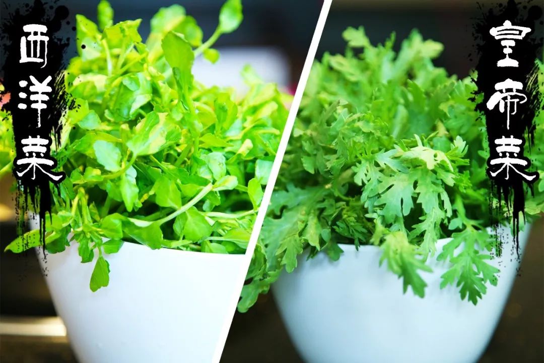 精炖8小时的金汤锅，急性子别来！