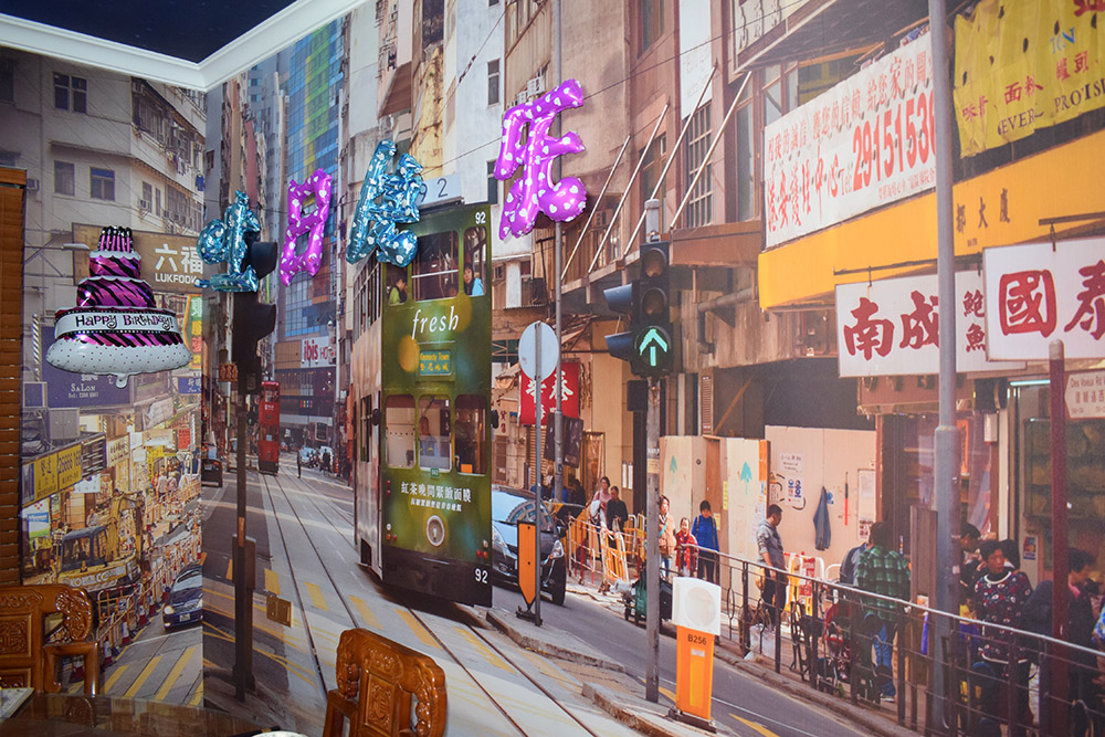 来海口吃羊肉,海南地道东山羊