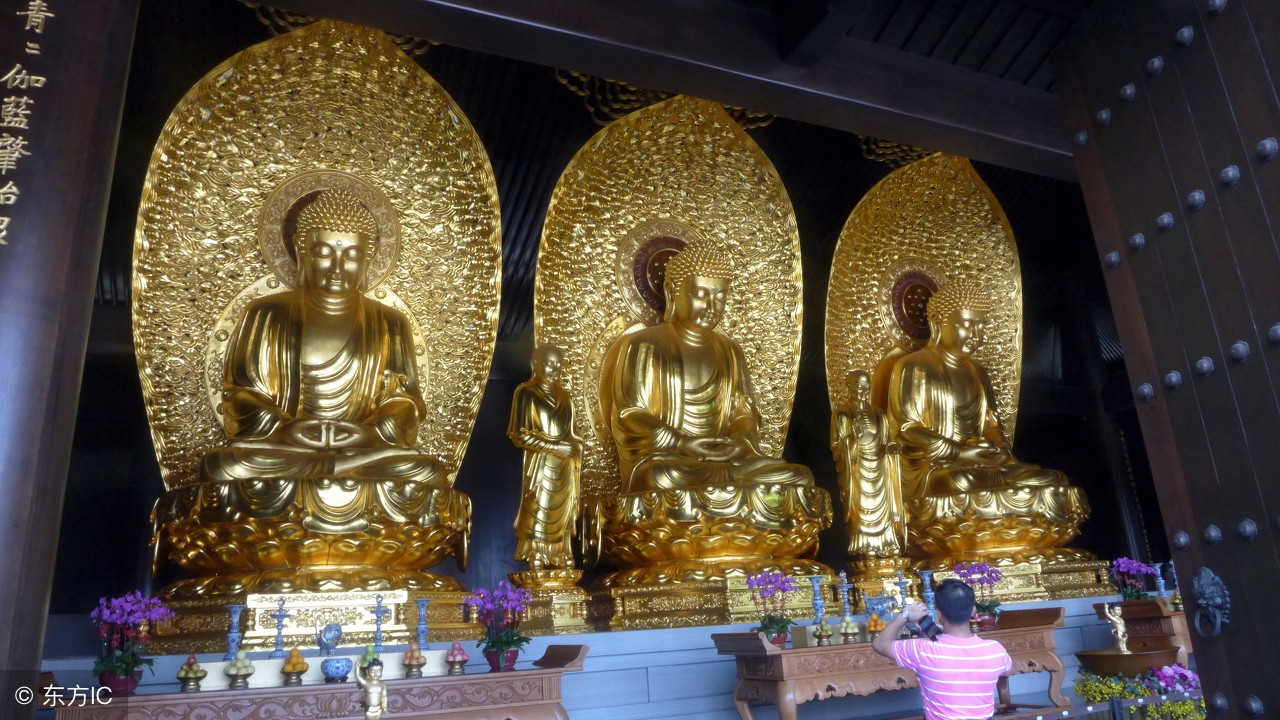 中国最不差钱的寺庙，免费斋饭咖啡，不要香火，靠首富出巨资支持