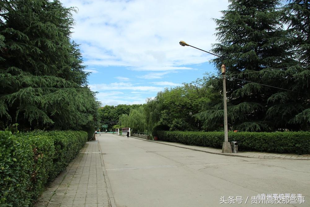 贵州专科报考征集志愿的学校,贵州专科学校何时填报志愿