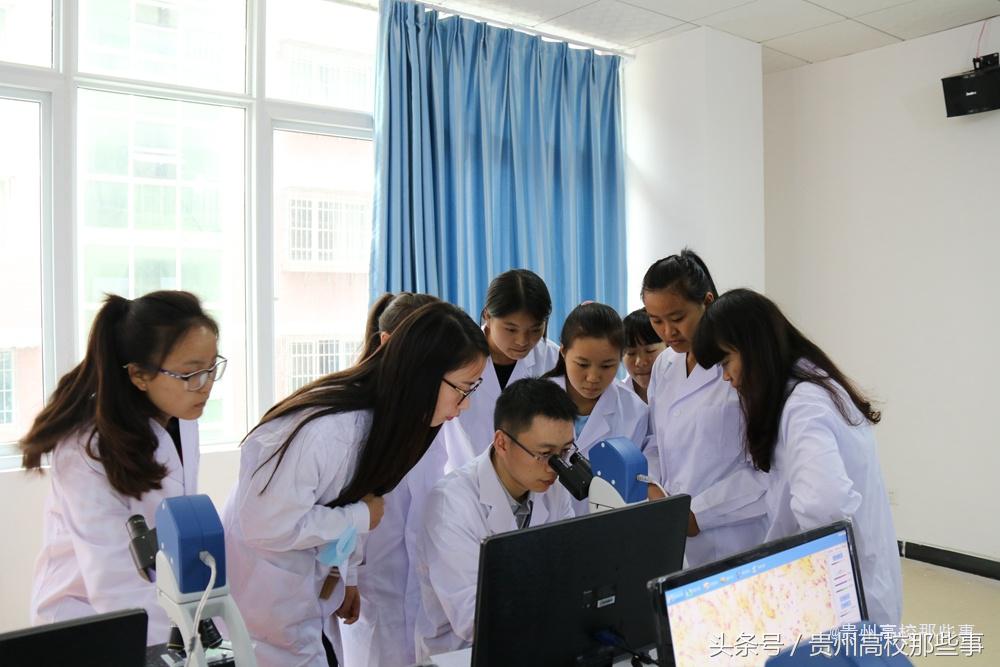 贵州专科报考征集志愿的学校,贵州专科学校何时填报志愿