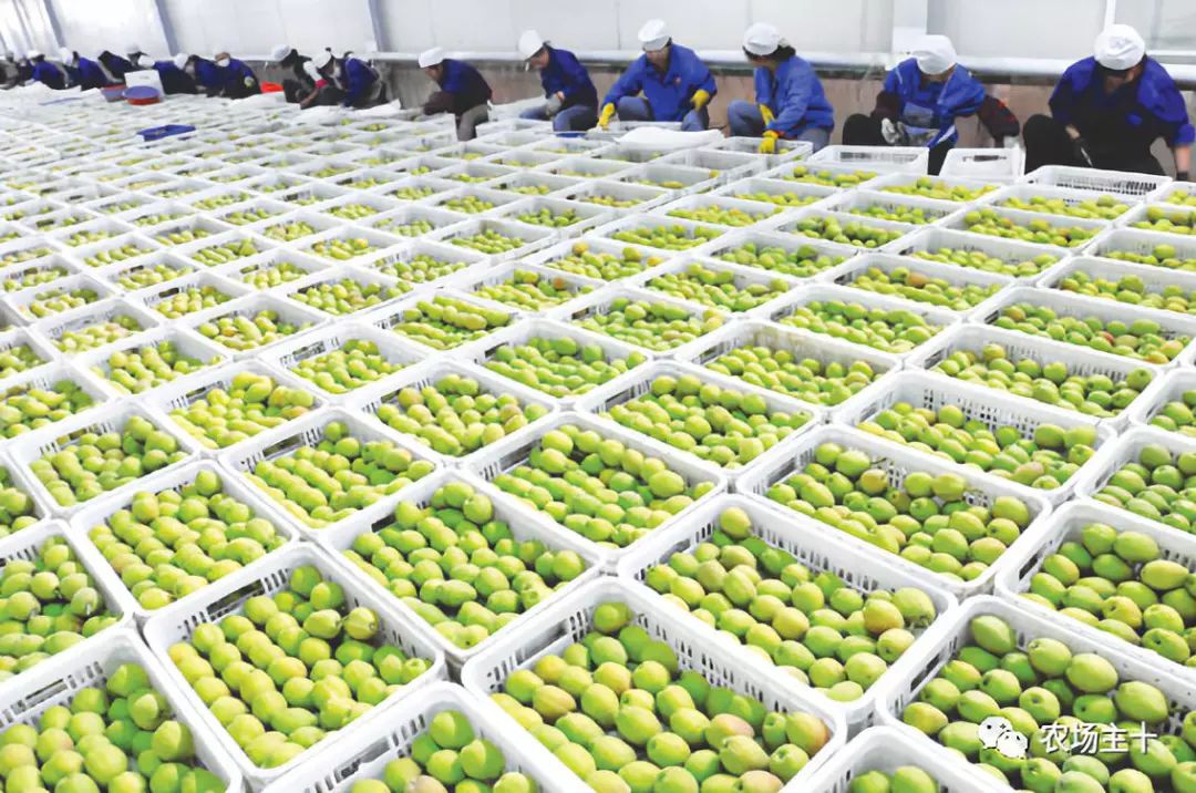 我想在农村建个冷库有前景吗,想在农村建个冷库