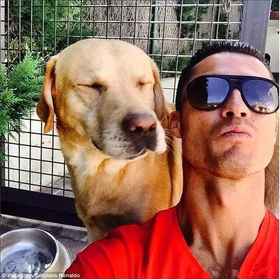 c罗养的狗对比梅西养的,梅西和c罗的宠物到了足球场