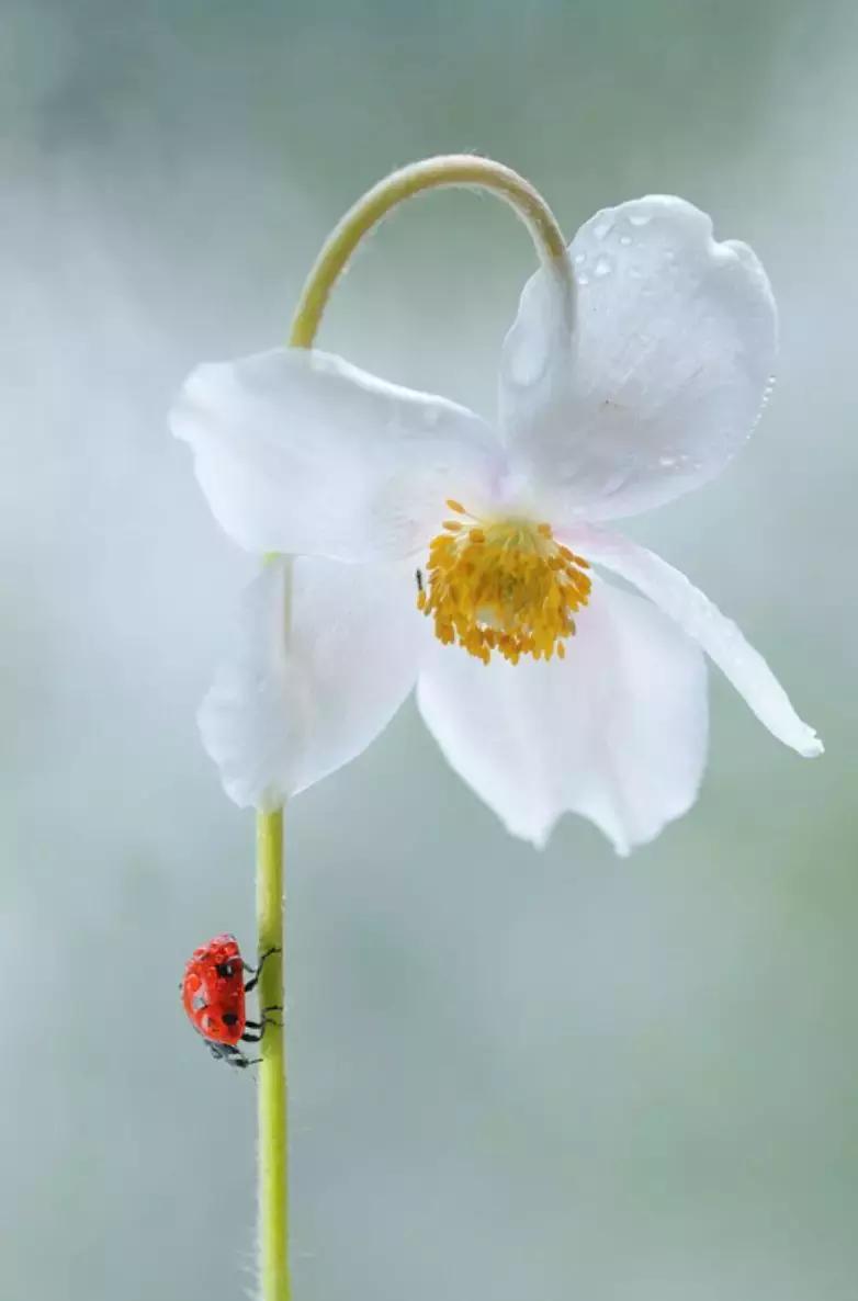 做个花心的女人视频,做个花心的女人歌曲