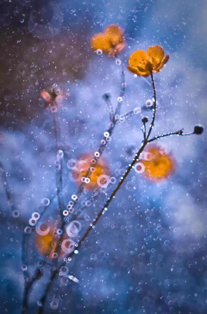 做个花心的女人视频,做个花心的女人歌曲