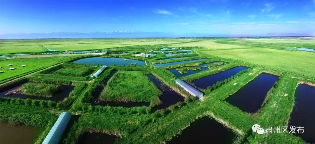 太迷人了！肃州区的这幅生态画卷越绘越美丽！