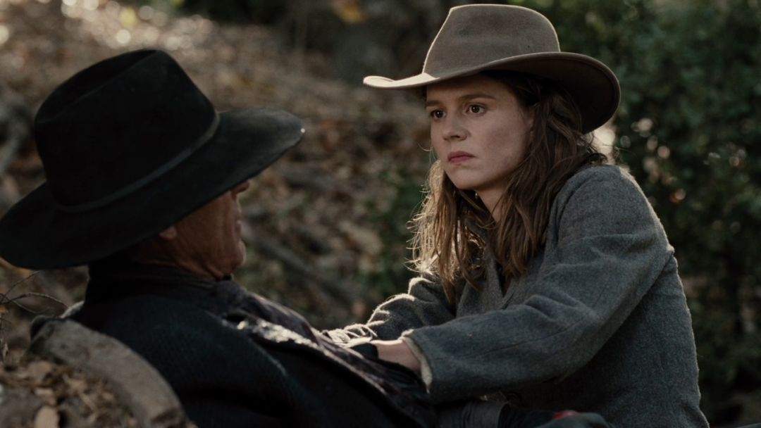 西部世界2讲的啥,西部世界第四季大结局