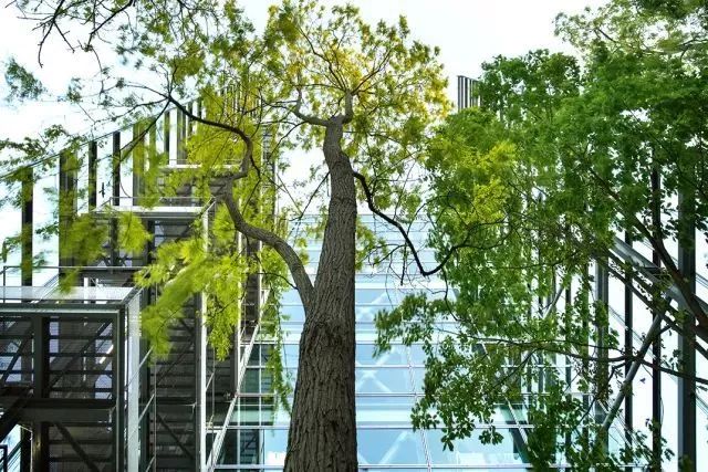 你了解奢侈品吗,卡地亚艺术基金会现场