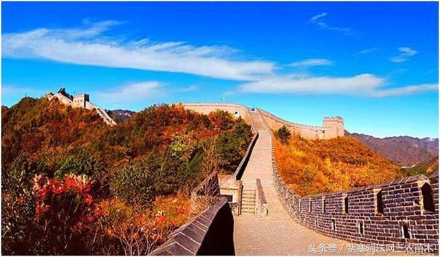 梨木台古树农家院,蓟县梨木台兴业缘农家院