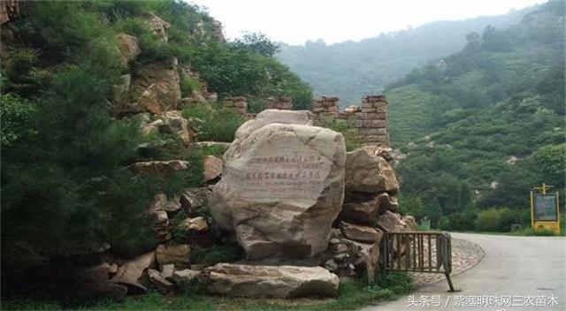 梨木台古树农家院,蓟县梨木台兴业缘农家院