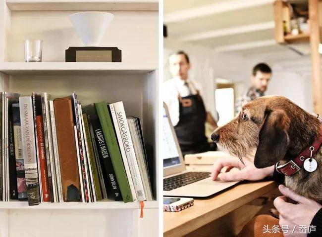 这个人均咖啡4杯的国家，除了梵高郁金香，有哪些咖啡馆值得逛