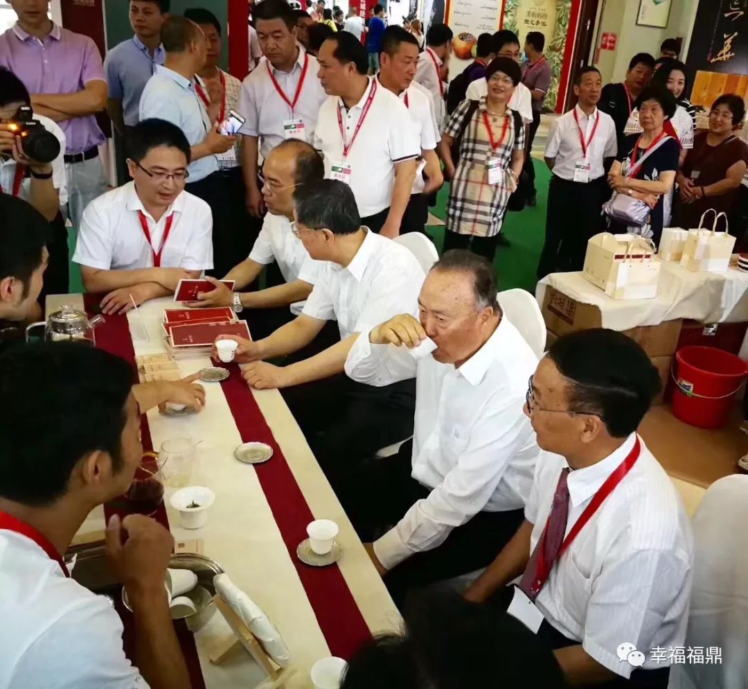 福鼎白茶进京“赶考”，好评如潮，香飘“一带一路”
