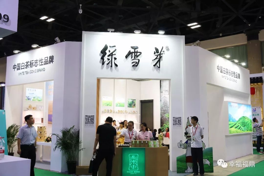 福鼎白茶进京“赶考”，好评如潮，香飘“一带一路”