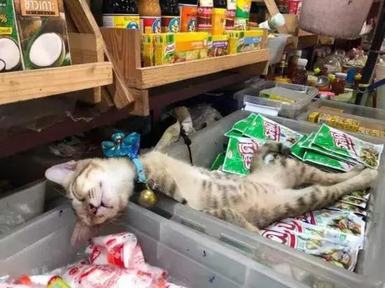 她的哭践踏了很多人的努力没错这个人就是孟姜女