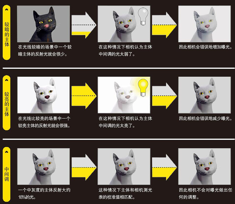 什么是测光怎么测,测光是什么意思