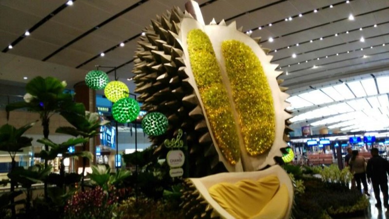 机场免税店哪家好,值得剁手的免税店