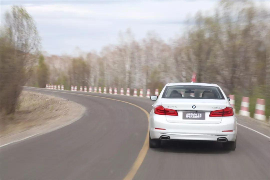 所罗门王的指环完整版,所罗门王的指环全文